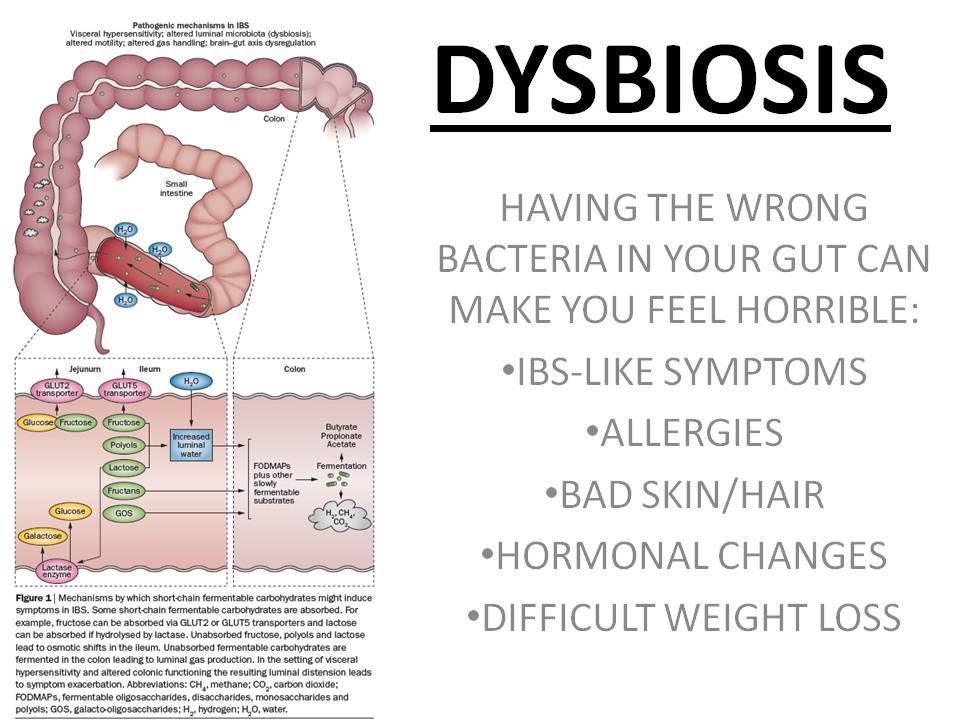 dysbiosisslide