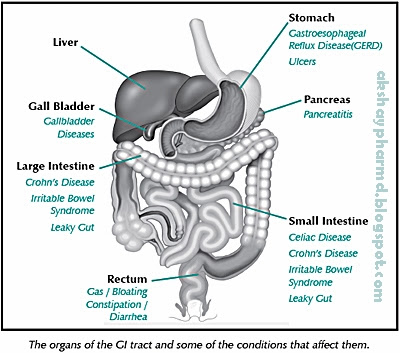 digesting_1-1