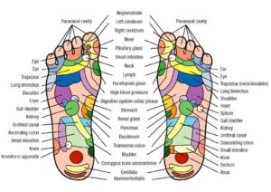 Reflexology Chart: Hands and Feet – Holistic Hernia Remediation